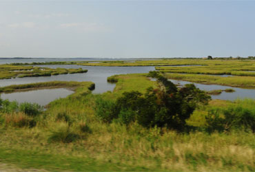 View in Assateaque