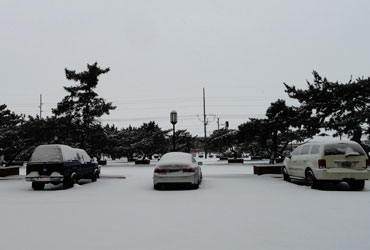 Cars under the snow